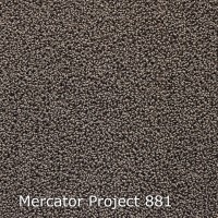 Mercator Project-Econyl 881